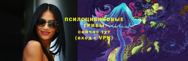 Псилоцибиновые грибы Cubensis  Балаково 